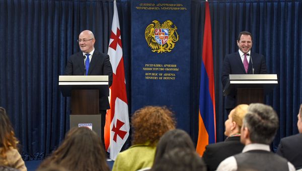 Министры обороны Армении и Грузии Давид Тоноян и Леван Изория на совместном брифинге (21 февраля 2019). Еревaн Министры обороны Армении и Грузии Давид Тоноян и Леван Изория на совместном брифинге (21 февраля 2019). Еревaн - Sputnik Армения