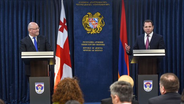 Министры обороны Армении и Грузии Давид Тоноян и Леван Изория на совместном брифинге (21 февраля 2019). Еревaн Министры обороны Армении и Грузии Давид Тоноян и Леван Изория на совместном брифинге (21 февраля 2019). Еревaн - Sputnik Արմենիա