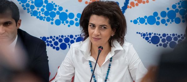 Пресс-конференция супруги премьер-министра Анны Акопян (21 февраля 2019). Еревaн Пресс-конференция супруги премьер-министра Анны Акопян (21 февраля 2019). Еревaн - Sputnik Армения