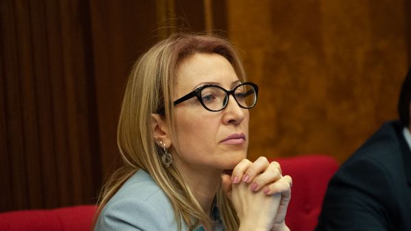 Депутат от фракции Просвещенная Армения Мане Тандилян на пленарном заседании Парламента Армении (5 марта 2019). Еревaн - Sputnik Армения