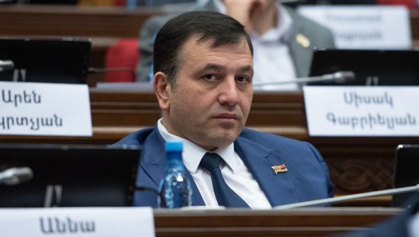 Депутат от фракции Мой Шаг Николай Багдасарян на пленарном заседании Парламента Армении (5 марта 2019). Еревaн - Sputnik Армения