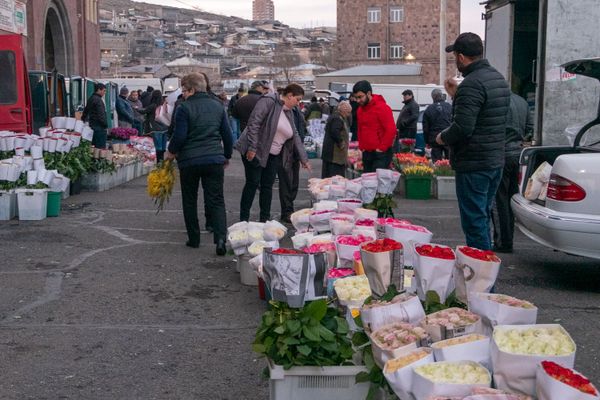 Թաքնված «միլիոնատերեր» և դեմպինգ․ ինչո՞վ է ապրում Հայաստանի ծաղկի շուկան. լուսանկարներ Թաքնված «միլիոնատերեր» և դեմպինգ․ ինչո՞վ է ապրում Հայաստանի ծաղկի շուկան. լուսանկարներ - Sputnik Արմենիա