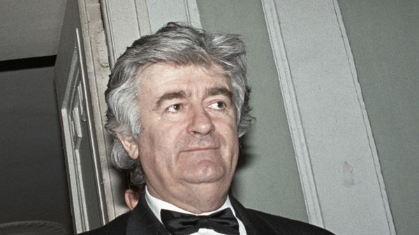 Радован Караджич. - Sputnik Армения