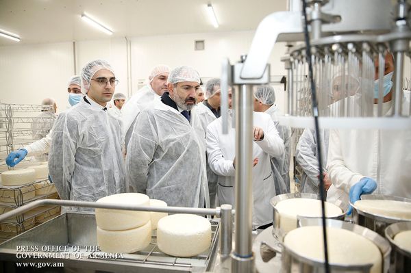 Երևանում պանրի և կաթնամթերքի այլ տեսակների գործարան է բացվել. ներկա է եղել նաև Փաշինյանը - Sputnik Արմենիա