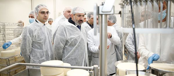 Премьер-министр Никол Пашинян принял участие на торжественном открытии молочного завода компании Спайка (26 марта 2019). Еревaн - Sputnik Армения