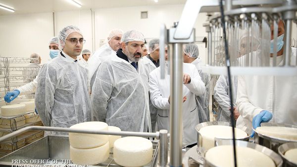 Премьер-министр Никол Пашинян принял участие на торжественном открытии молочного завода компании Спайка (26 марта 2019). Еревaн - Sputnik Армения
