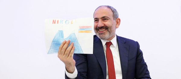 Премьер-министр Никол Пашинян встретился с представителями армянской диаспоры Австрии (29 марта 2019). Вена - Sputnik Армения