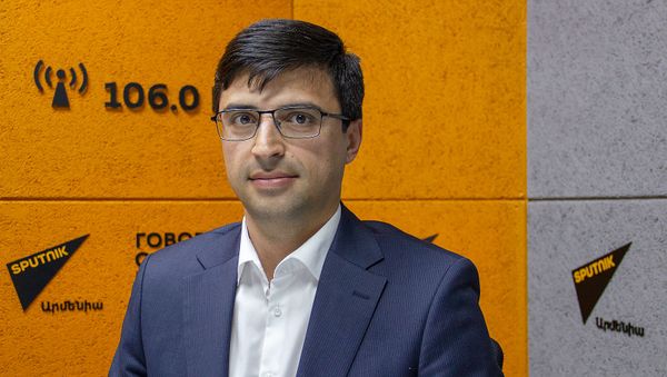 Начальник управления политики доходов и методологии администрирования Минфина Ори Алавердян - Sputnik Армения