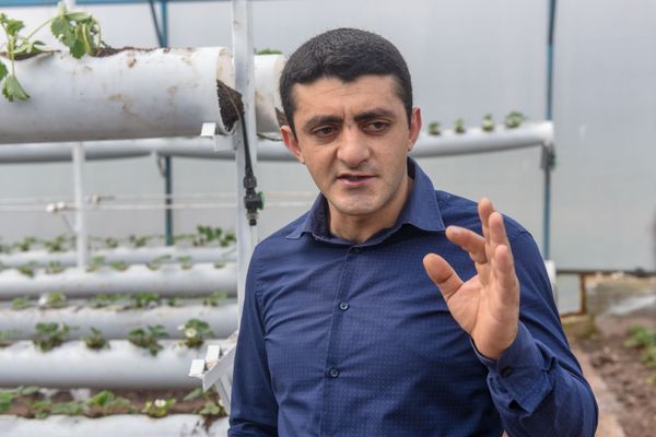 Британцы пьют чай с армянской клубникой: Сладкий домик в Бюракане стал крутым бизнесом Британцы пьют чай с армянской клубникой: Сладкий домик в Бюракане стал крутым бизнесом - Sputnik Армения