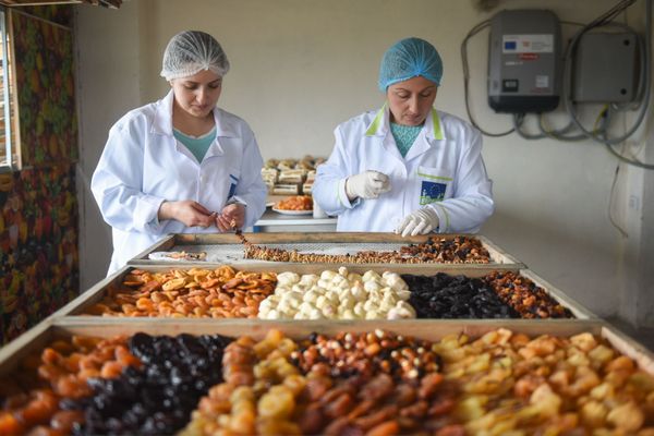 Британцы пьют чай с армянской клубникой: Сладкий домик в Бюракане стал крутым бизнесом Британцы пьют чай с армянской клубникой: Сладкий домик в Бюракане стал крутым бизнесом - Sputnik Армения