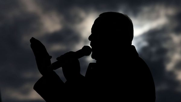 Выступление президента Турции Реджепа Тайипа Эрдогана перед сторонниками во время церемонии открытия нескольких проектов развития в районе Мамак Анкары (13 февраля 2019). Турция - Sputnik Армения