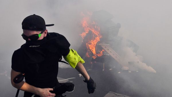 Участник Первомайской демонстрации в Париже - Sputnik Армения
