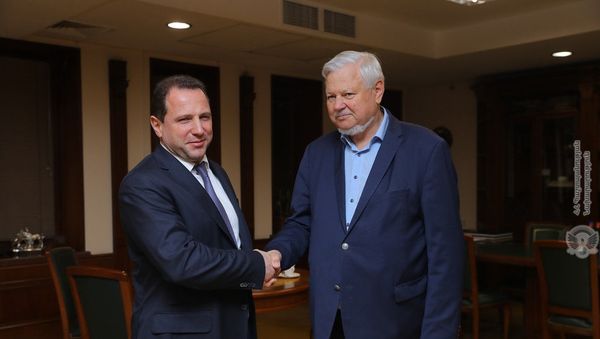 Встреча министра обороны Давида Тонояна и личного представителя действующего председателя ОБСЕ, посла Анджея Каспршика (3 мая 2019). Еревaн - Sputnik Армения
