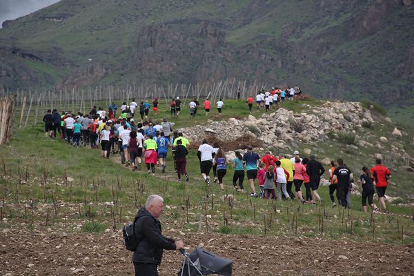 Марафонский забег Vineyard Trial Armenia - Sputnik Армения