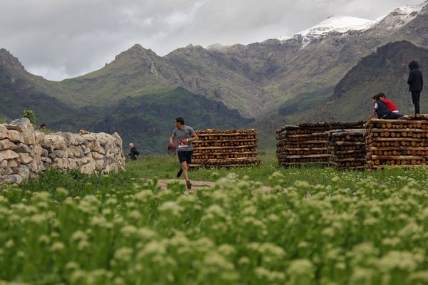 Марафонский забег Vineyard Trial Armenia - Sputnik Армения