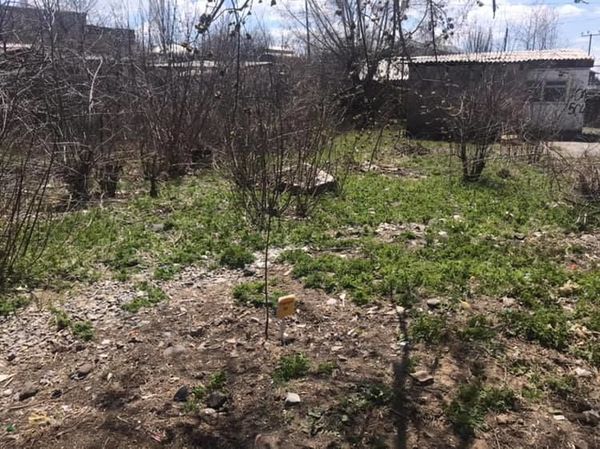 Գյումրեցի պատանի Միքայելը կատարեց վարչապետ Փաշինյանին տված խոստումը. տարածքը մաքրված է - Sputnik Արմենիա