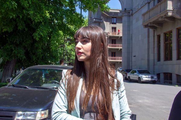 Львы Царукяна и уличные животные: армянские активисты требуют защитить четвероногих - Sputnik Армения
