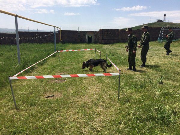 Хочешь мира...: российские пограничники показали свои умения армянским школьникам - Sputnik Армения