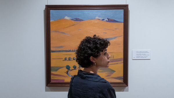 Посетитель у картины Горы. Котайк в Доме-музее Мартироса Сарьяна в рамках акции Ночь в музее - Sputnik Армения