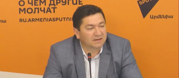 Ինչու է հրաժարական տվել ՀՀ բնապահպանության փոխնախարար Այսեր Ղազարյանը - Sputnik Արմենիա