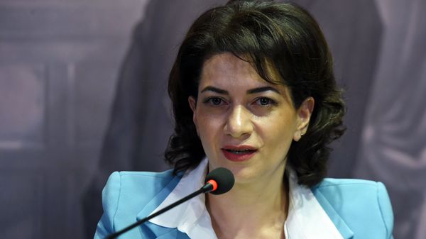 Пресс-конференция председателя попечительского совета благотворительных фондов Мой шаг и Город улыбок Анны Акопян (27 мая 2019). Еревaн - Sputnik Արմենիա