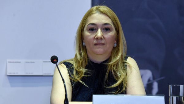 Ген.директор благотворительного фонда Город улыбок Эстер Демирчян на пресс-конференции (27 мая 2019). Еревaн Ген.директор благотворительного фонда Город улыбок Эстер Демирчян на пресс-конференции (27 мая 2019). Еревaн - Sputnik Армения