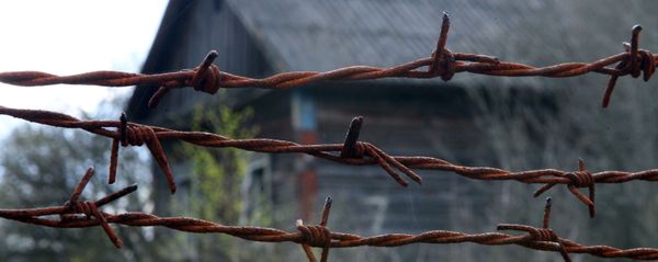 В зоне отчуждения Чернобыльской АЭС - Sputnik Армения