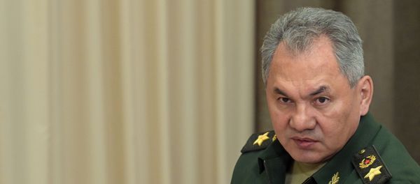 Министр обороны РФ Сергей Шойгу Министр обороны РФ Сергей Шойгу - Sputnik Армения