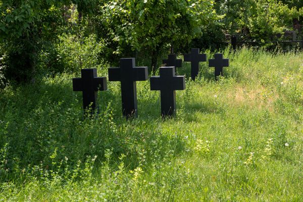 Рыдал, но спасла тутовка: как сын немецкого военнопленного нашел могилу отца в Ереване - Sputnik Армения