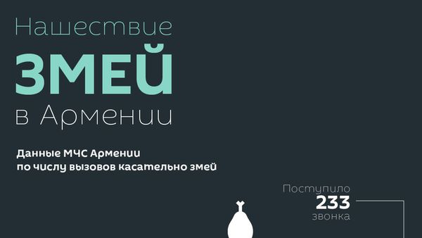Нашествие змей в Армении - Sputnik Армения