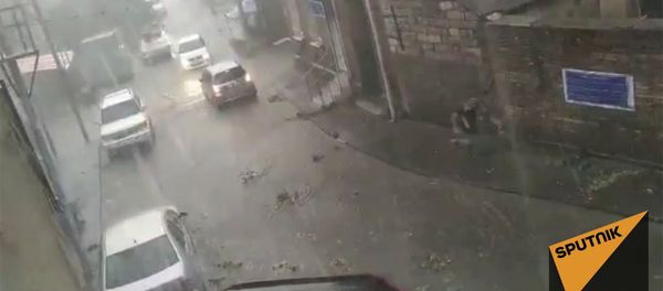 Сорванные ветви и залитые водой улицы - видео последствий урагана в Тбилиси - Sputnik Արմենիա