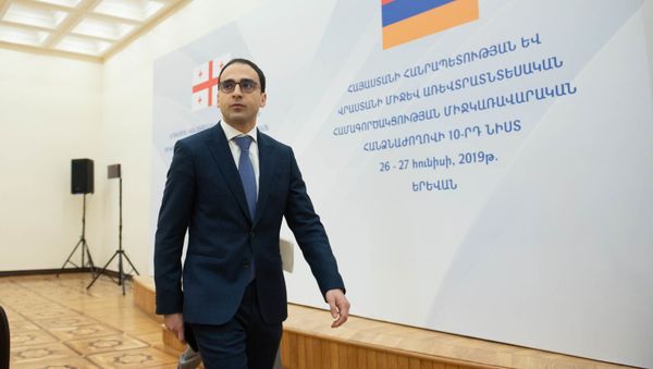 Тигран Авинян перед началом десятого заседания межправительственной армяно-грузинской экономической комиссии (27 июня 2019). Еревaн - Sputnik Արմենիա