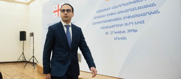 Тигран Авинян перед началом десятого заседания межправительственной армяно-грузинской экономической комиссии (27 июня 2019). Еревaн - Sputnik Արմենիա