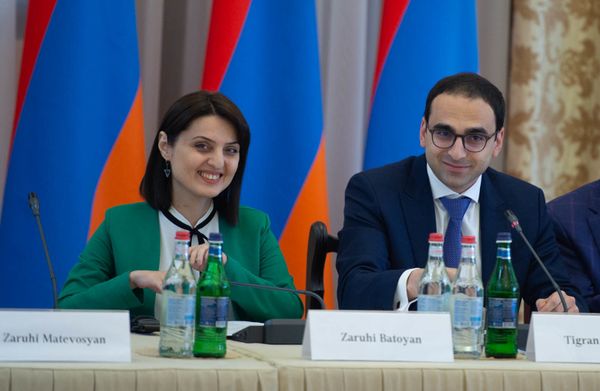 Հայաստանի և Վրաստանի միջև քաղաքական երկխոսությունը շատ բարձր մակարդակում է. Ավինյան - Sputnik Արմենիա