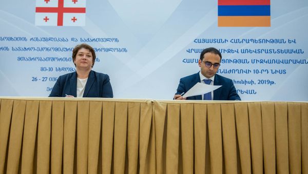 Вице-премьеры Армении и Грузии Тигран Авинян и Мая Цкитишвили подписали протокол по итогам X заседания межправительственной комиссии по торгово-экономическому сотрудничеству (27 июня 2019). Еревaн - Sputnik Армения