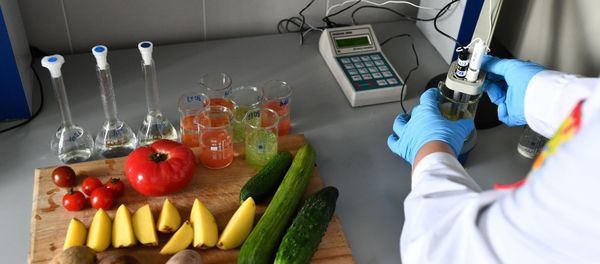 Проверка продуктов в лаборатории Роспотребнадзора - Sputnik Արմենիա