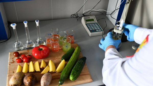 Проверка продуктов в лаборатории Роспотребнадзора - Sputnik Армения