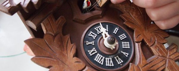 Часы с кукушкой Часы с кукушкой - Sputnik Армения