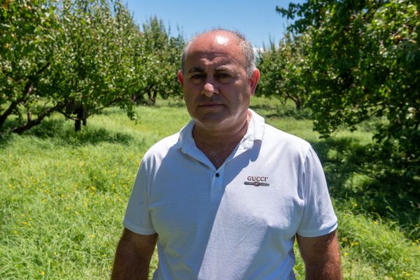 Կարկուտի և գյուղացու ծրագրերը չհամընկան. ի՞նչ են առաջարկում պատկան մարմինները - Sputnik Արմենիա