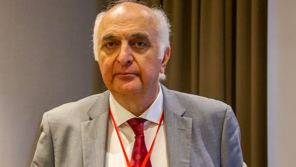 Академик РАН Баграт Алекян - Sputnik Армения