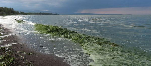 Побережье озера Севан около городского пляжа со стороны Мартуни (5 июля 2019). Гегаркуник Побережье озера Севан около городского пляжа со стороны Мартуни (5 июля 2019). Гегаркуник - Sputnik Армения