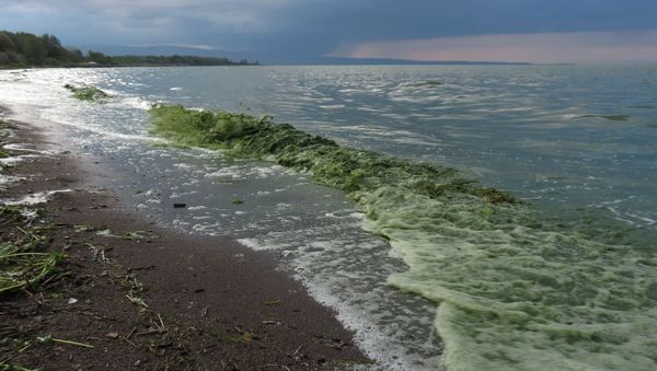 Побережье озера Севан около городского пляжа со стороны Мартуни (5 июля 2019). Гегаркуник - Sputnik Армения