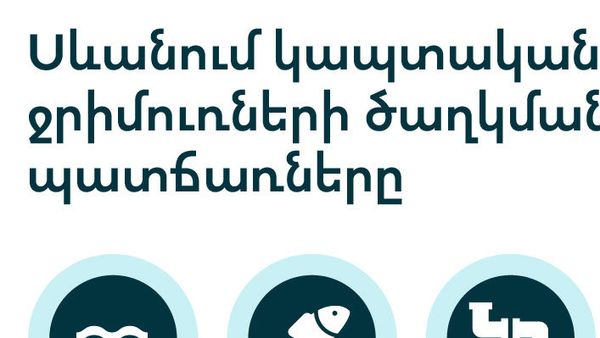 Սևանում կապտականաչ ջրիմուռների ծաղկման պատճառները - Sputnik Արմենիա