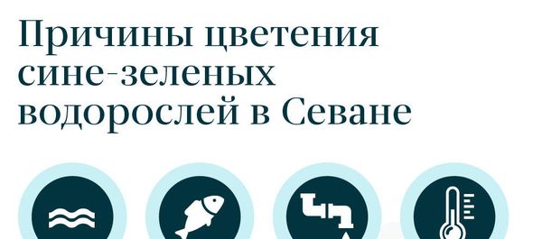 Причины цветения сине-зеленых водорослей в Севане Причины цветения сине-зеленых водорослей в Севане - Sputnik Армения