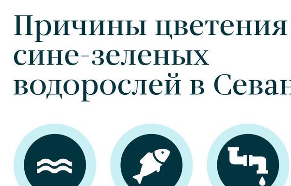 Угроза превращения в болото, или Как не допустить уничтожения Севана - Sputnik Армения
