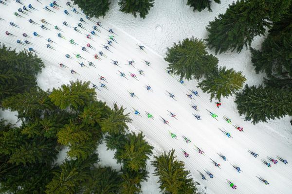 Снимок Косяк разноцветных рыб польского фотографа Яцека Данека, получивший главный приз конкурса Drone Awards 2019 - Sputnik Армения