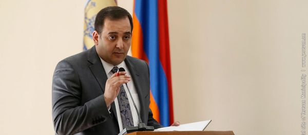Выступление начальника управления по охране природы столицы Хачика Акопяна на совете старейшин (12 февраля 2019). Еревaн - Sputnik Արմենիա