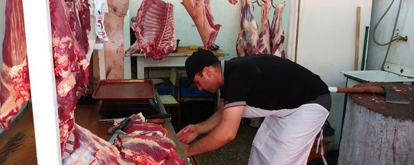 Сотрудники гос.службы по безопасности пищевых продуктов провели повторные санитарные проверки в Гюмри (16 июля 2019). Гюмри Сотрудники гос.службы по безопасности пищевых продуктов провели повторные санитарные проверки в Гюмри (16 июля 2019). Гюмри - Sputnik Армения