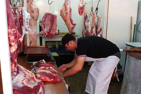 Сотрудники гос.службы по безопасности пищевых продуктов провели повторные санитарные проверки в Гюмри (16 июля 2019). Гюмри Сотрудники гос.службы по безопасности пищевых продуктов провели повторные санитарные проверки в Гюмри (16 июля 2019). Гюмри - Sputnik Армения