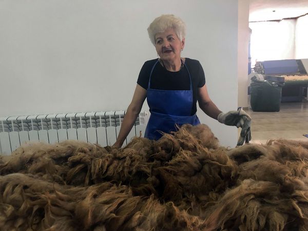 Թակի և սանդերքի փոխարեն` բրդի ավտոմատացված վերամշակում. Ամասիայում բացվել է բրդի գործարան - Sputnik Արմենիա